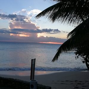 Meet your Posher, Marion